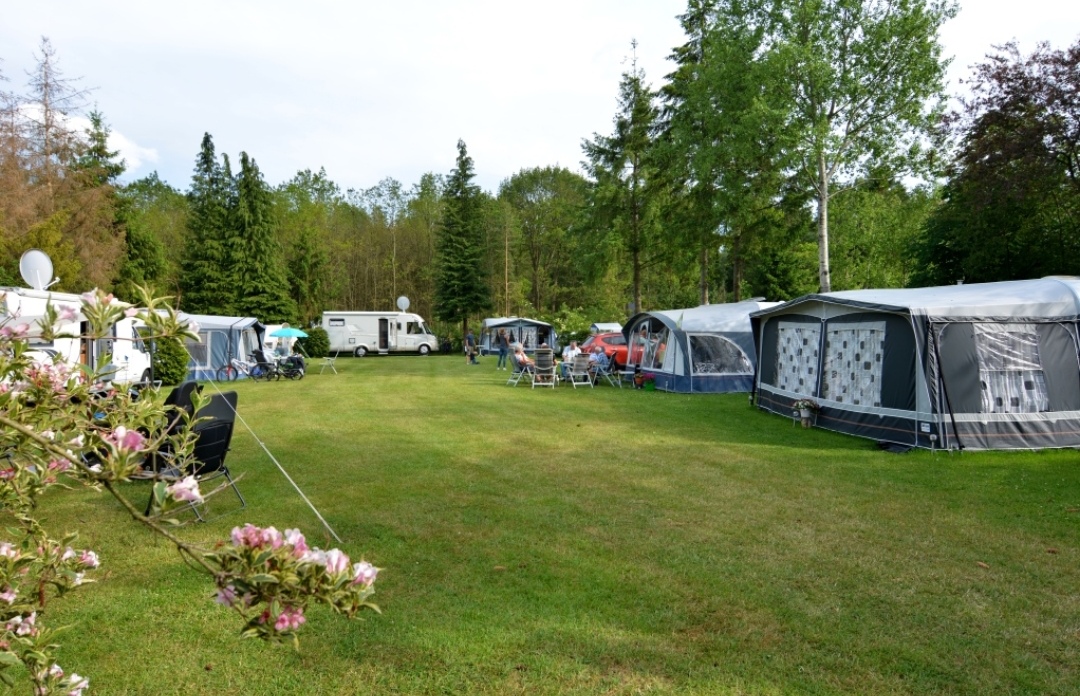 Camping De Rieghheide : box et paddocks, pension pour chevaux à Schoonoord - Photo 3 sur 4