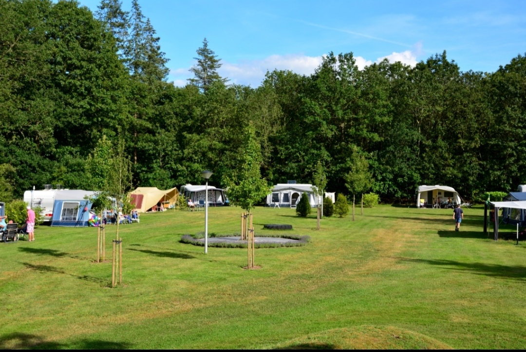Camping De Rieghheide : box et paddocks, pension pour chevaux à Schoonoord - Photo 4 sur 4