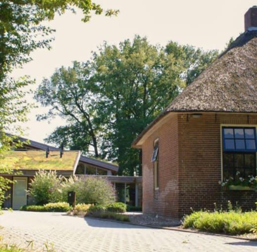 Landhotel Diever : box et paddocks, pension pour chevaux à Diever - Photo 5 sur 5
