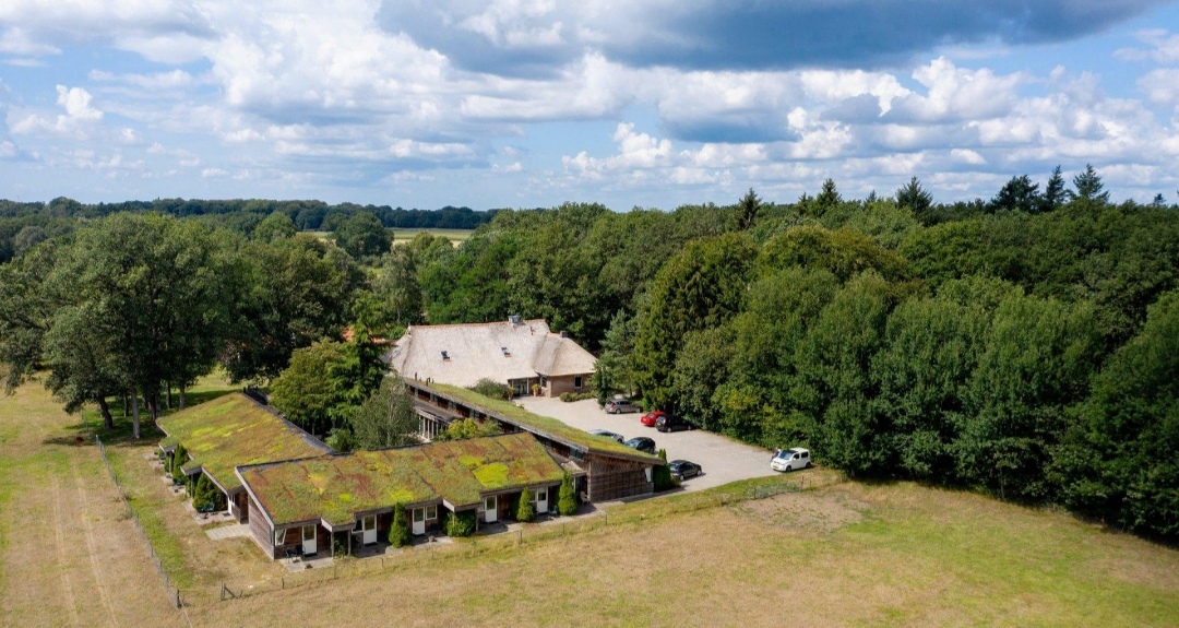 Landhotel Diever : box et paddocks, pension pour chevaux à Diever - Photo 2 sur 5
