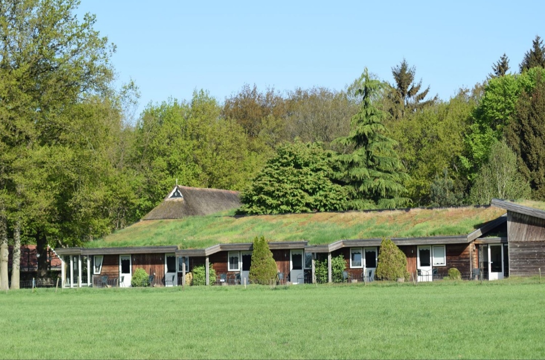 Landhotel Diever : box et paddocks, pension pour chevaux à Diever - Photo 4 sur 5