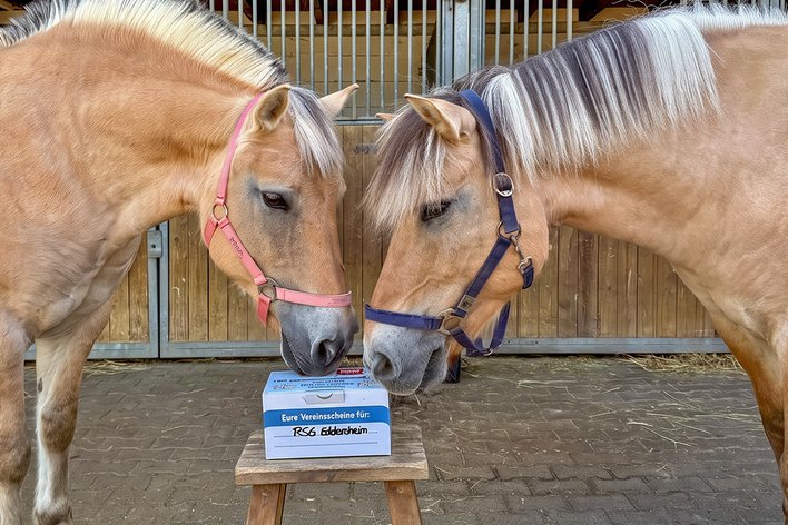 RSG Eddersheim am Main – Pferdesport & Therapie Main-Taunus : box et paddocks, pension pour chevaux à Hattersheim am Main - Photo 4 sur 4