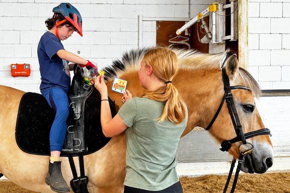 RSG Eddersheim am Main – Pferdesport & Therapie Main-Taunus : box et paddocks, pension pour chevaux à Hattersheim am Main - Photo 2 sur 4