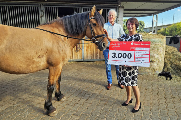 RSG Eddersheim am Main – Pferdesport & Therapie Main-Taunus : box et paddocks, pension pour chevaux à Hattersheim am Main - Photo 3 sur 4