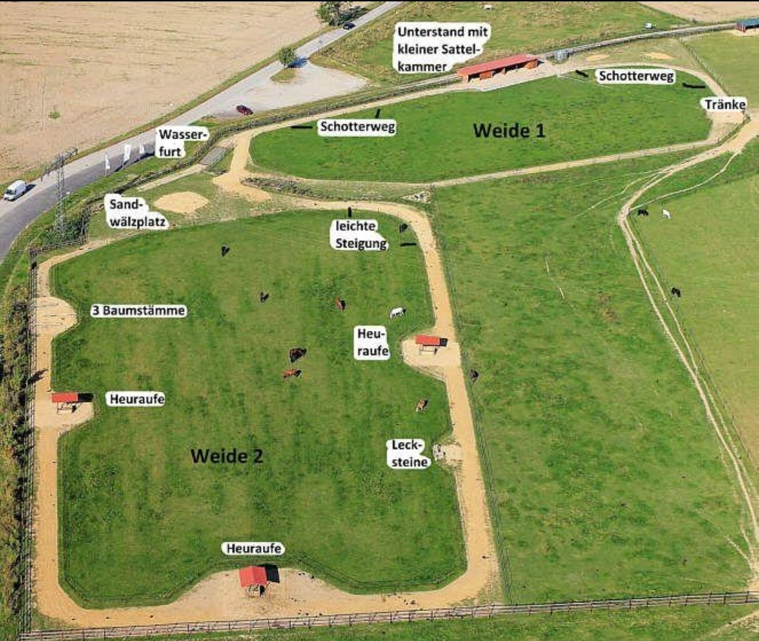 Gut Heinrichshof : box et paddocks, pension pour chevaux à Kleinröhrsdorf - Photo 2 sur 3
