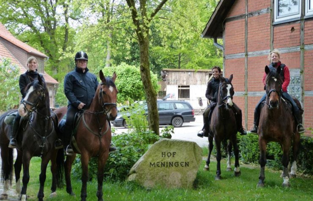 Hof Meningen : box et paddocks, pension pour chevaux à Lüneburger Heide - Photo 1 sur 3