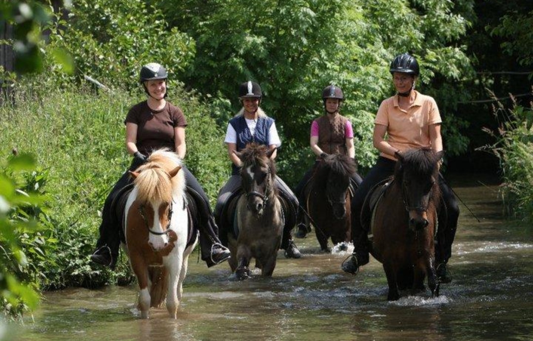 Reitsportfreunde Winterberg – Western & Klassisch e.V. : box et paddocks, pension pour chevaux à Winterberg - Photo 1 sur 2