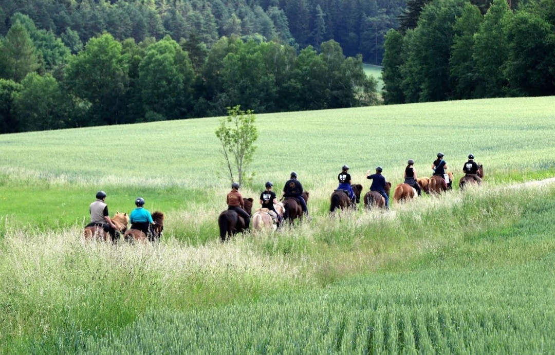 Islandpferde Burgwald-Trekking – Familie Muth : box et paddocks, pension pour chevaux à Münchhausen - Photo 2 sur 2