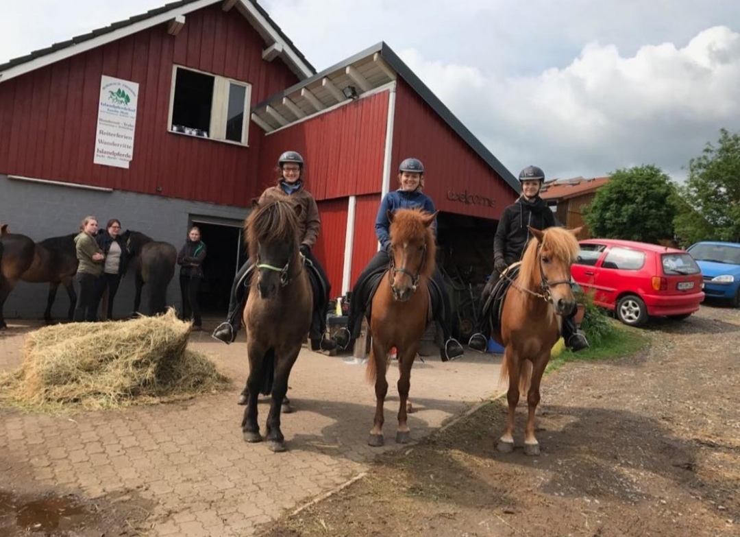 Islandpferde Burgwald-Trekking – Familie Muth : box et paddocks, pension pour chevaux à Münchhausen - Photo 1 sur 2