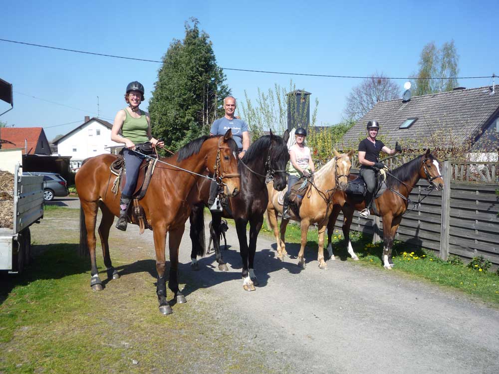 Hestavin – Petra Rodinger : box et paddocks, pension pour chevaux à Grünberg - Photo 4 sur 4