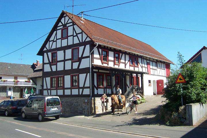 Hestavin – Petra Rodinger : box et paddocks, pension pour chevaux à Grünberg - Photo 2 sur 4