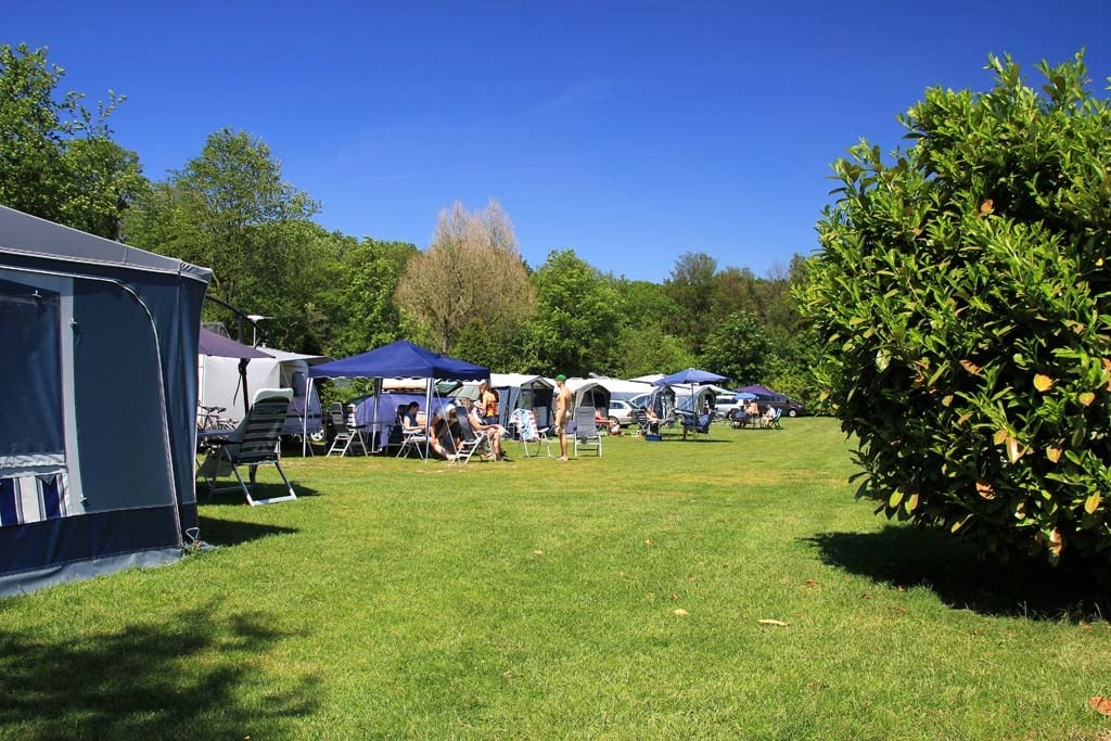 De Kommer : box et paddocks, pension pour chevaux à Loon op Zand - Photo 3 sur 5