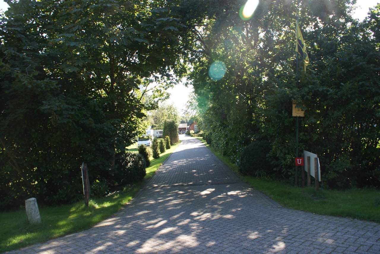 De Kommer : box et paddocks, pension pour chevaux à Loon op Zand - Photo 2 sur 5