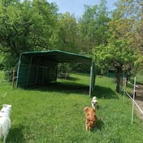 Saigenranch : box et paddocks, pension pour chevaux à Pleisweiler-Oberhofen - Photo 2 sur 4