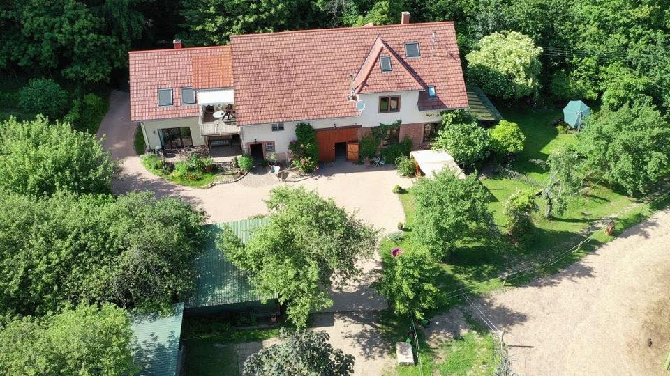 Saigenranch : box et paddocks, pension pour chevaux à Pleisweiler-Oberhofen - Photo 1 sur 4