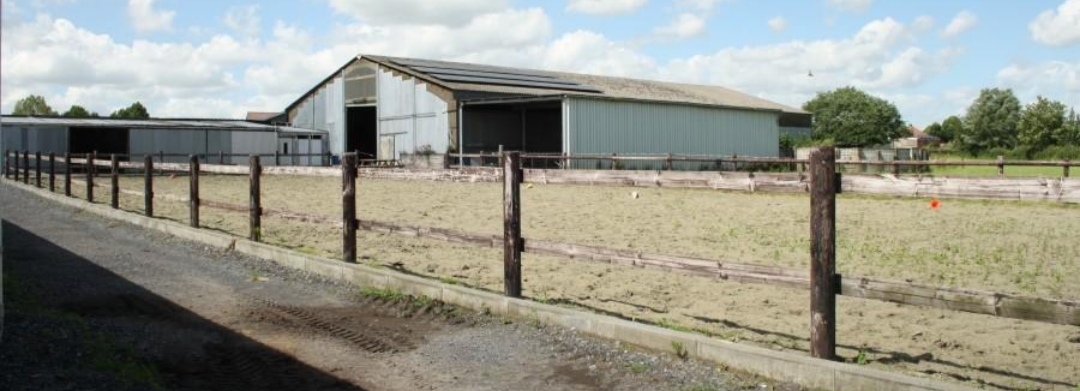Poney-Club Arc-en-Ciel : box et paddocks, pension pour chevaux à Thuillies (Thuin) - Photo 3 sur 3