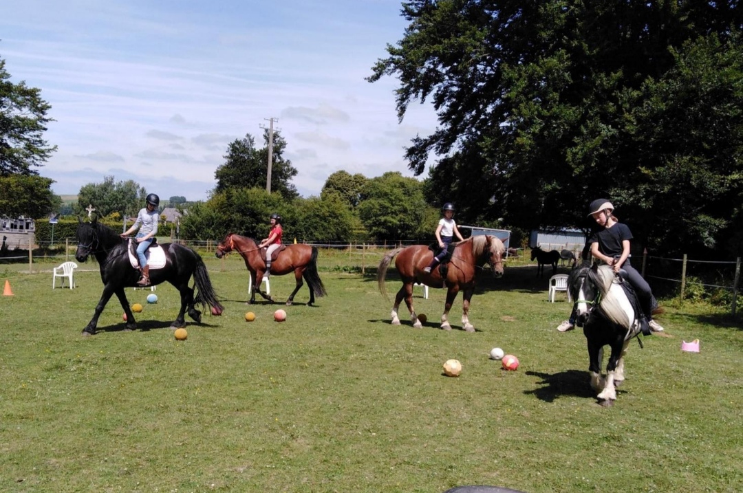 Poney-Club Arc-en-Ciel : box et paddocks, pension pour chevaux à Thuillies (Thuin) - Photo 2 sur 3