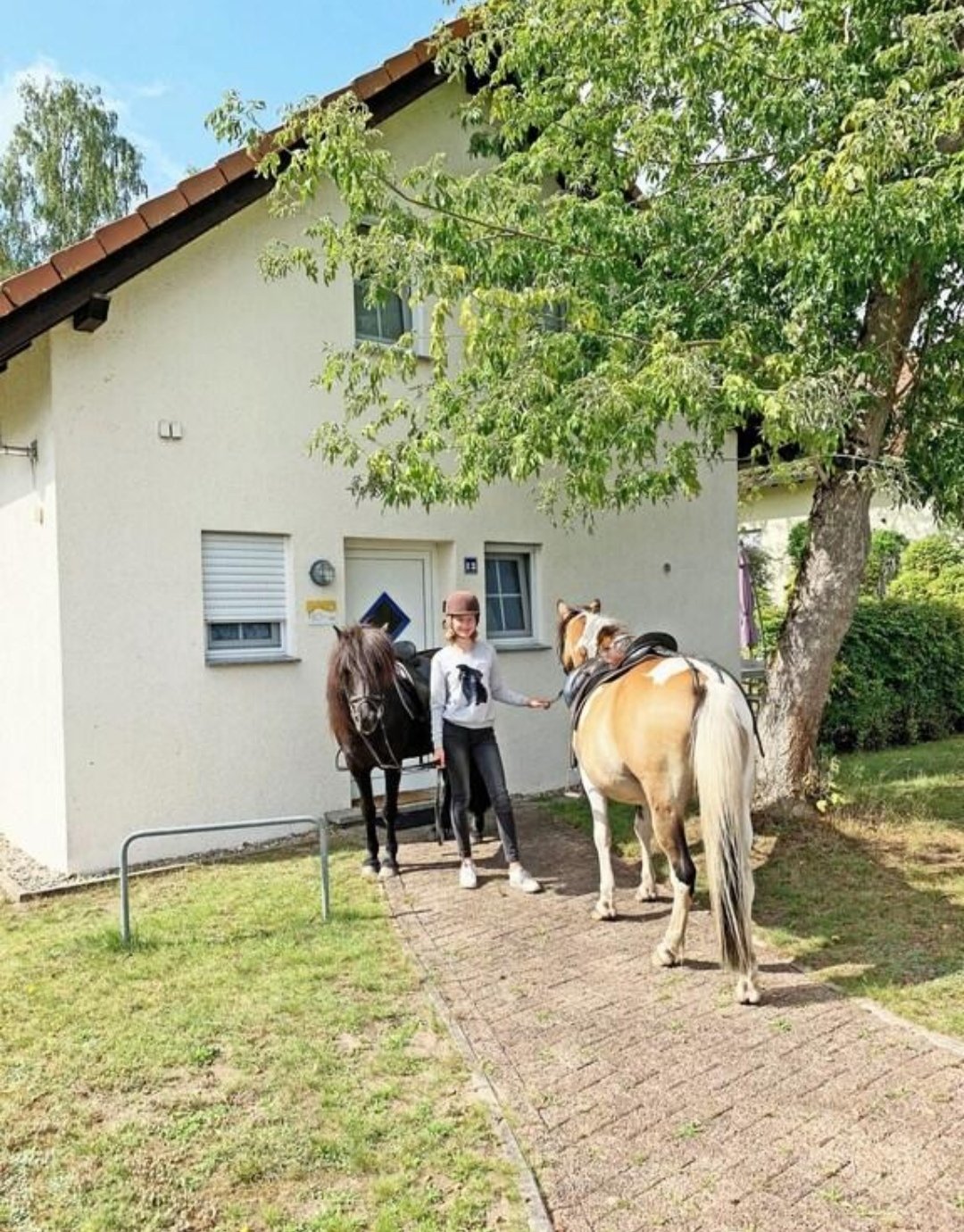 Reitbetrieb & Ferienhäuser Hohenstein : box et paddocks, pension pour chevaux à Hohenstein - Photo 2 sur 3
