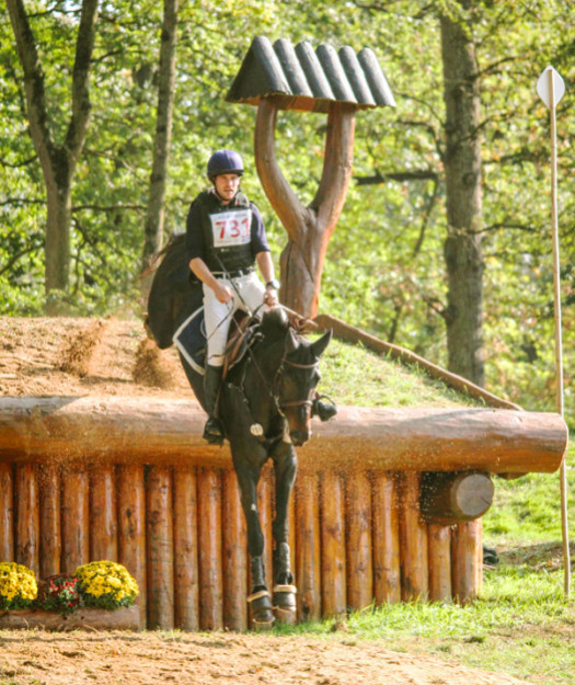 Centre Européen du Cheval : box et paddocks, pension pour chevaux à Vielsalm - Photo 5 sur 5