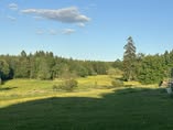 Centre Européen du Cheval : box et paddocks, pension pour chevaux à Vielsalm - Photo 1 sur 5