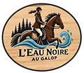 L’Évasion du Berger Australien / L’Eau Noire au Galop : box et paddocks, pension pour chevaux à Cul-des-Sarts (Couvin) - Photo 1 sur 4