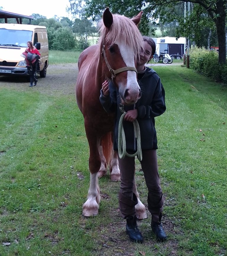 Wanderreitstation „Bei Gabi : box et paddocks, pension pour chevaux à Niederbrombach - Photo 3 sur 5