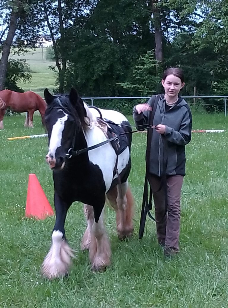Wanderreitstation „Bei Gabi : box et paddocks, pension pour chevaux à Niederbrombach - Photo 2 sur 5