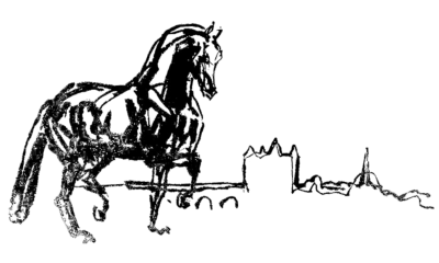 Domaine équestre de la Chênaie / Saumur Dressage : box et paddocks, pension pour chevaux à Saumur