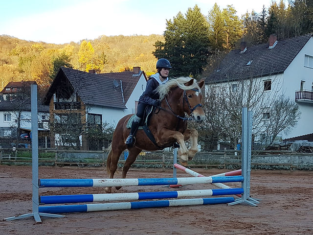 Reitbetrieb Merges : box et paddocks, pension pour chevaux à Friedelhausen - Photo 1 sur 4