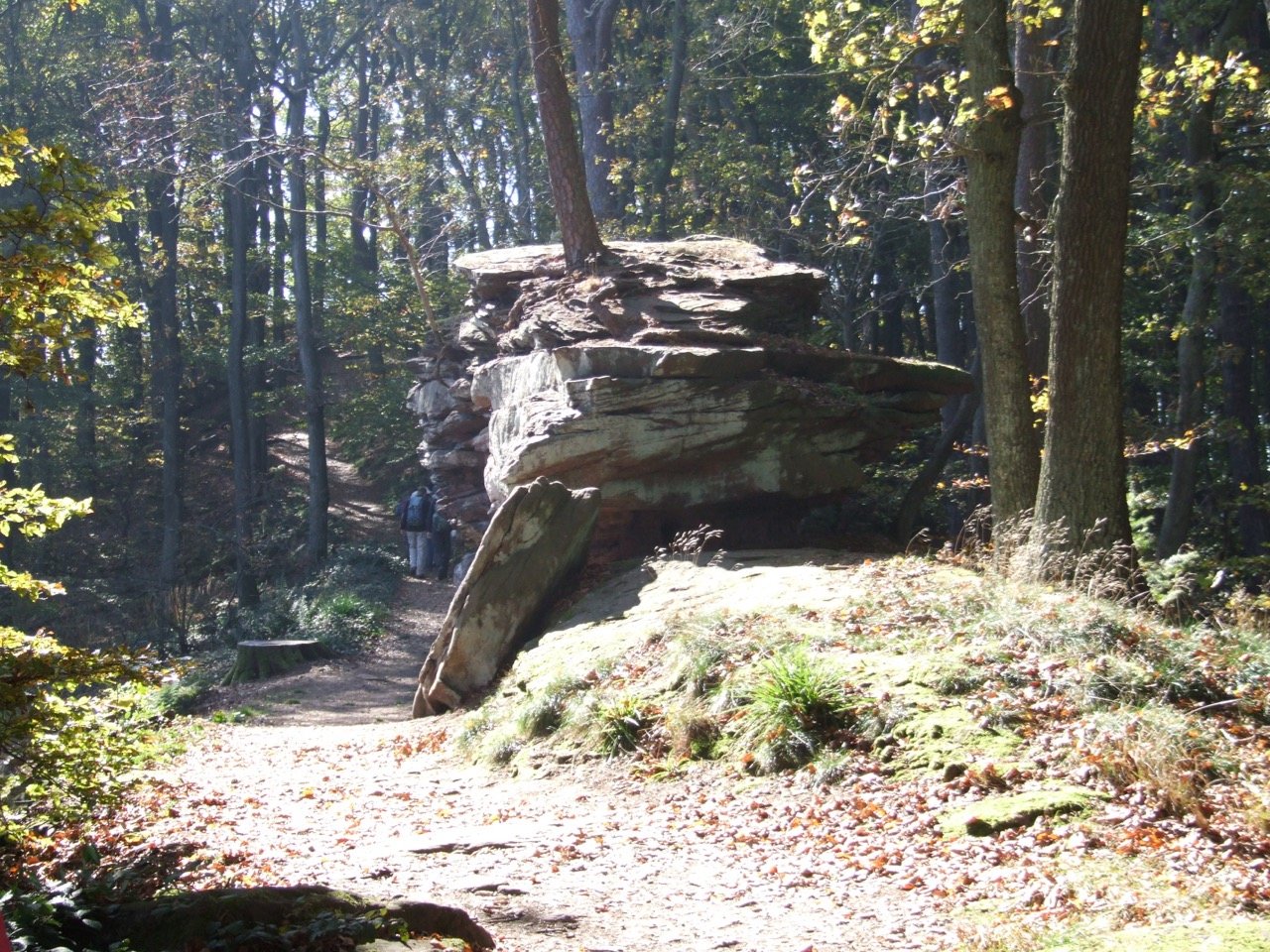 Schönbachhof : box et paddocks, pension pour chevaux à Silz - Photo 2 sur 3