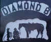 Diamond B Horse Motel : box et paddocks, pension pour chevaux à York