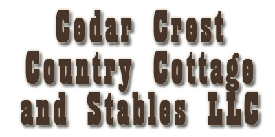 Cedar Crest Stables : box et paddocks, pension pour chevaux à Cedar Crest - Photo 1 sur 5