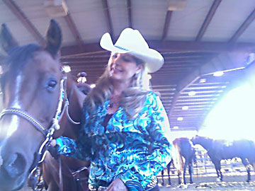 Cedar Crest Stables : box et paddocks, pension pour chevaux à Cedar Crest - Photo 2 sur 5