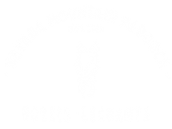 Nevada Mountain Paddock : box et paddocks, pension pour chevaux à Dorres - Photo 1 sur 2