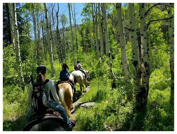 Almosta Ranch Park City / Almosta Ranch Horse Adventures : box et paddocks, pension pour chevaux à Park City - Photo 2 sur 4
