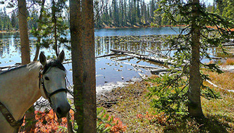 Almosta Ranch Park City / Almosta Ranch Horse Adventures : box et paddocks, pension pour chevaux à Park City - Photo 3 sur 4