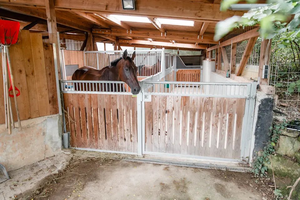 Pferdehotel Brunnenhof – Furrer Pferdetransporte : box et paddocks, pension pour chevaux à Ettlingen - Photo 4 sur 5