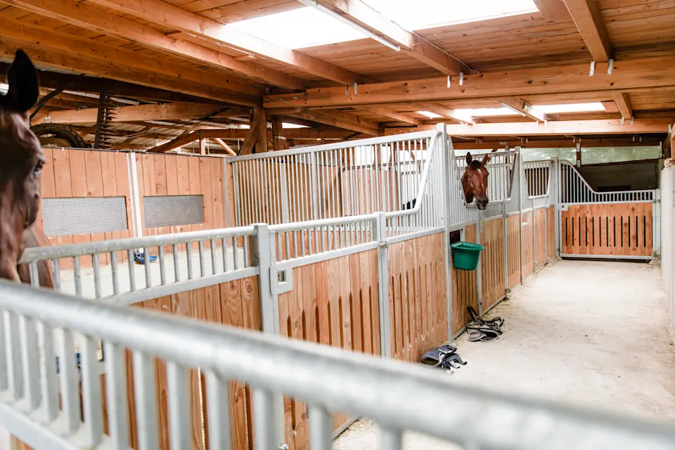 Pferdehotel Brunnenhof – Furrer Pferdetransporte : box et paddocks, pension pour chevaux à Ettlingen - Photo 3 sur 5