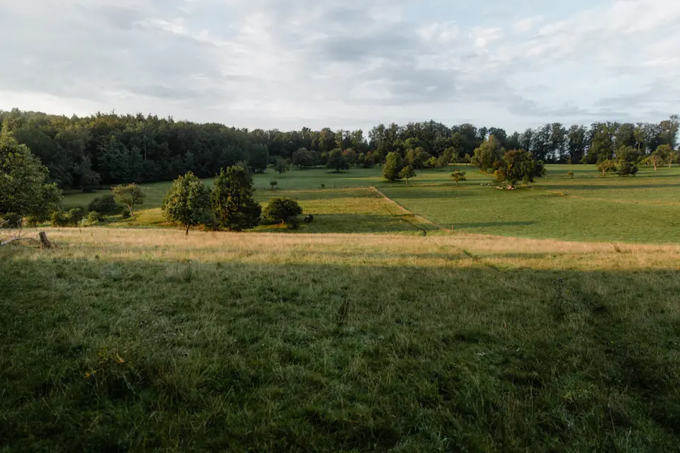 Pferdehotel Brunnenhof – Furrer Pferdetransporte : box et paddocks, pension pour chevaux à Ettlingen - Photo 5 sur 5