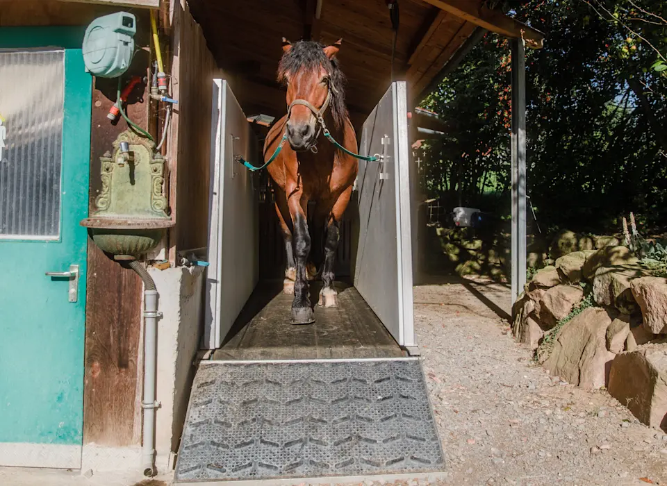 Pferdehotel Brunnenhof – Furrer Pferdetransporte : box et paddocks, pension pour chevaux à Ettlingen - Photo 1 sur 5