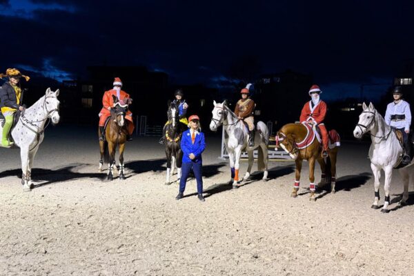 Josuran AG : box et paddocks, pension pour chevaux à Horn - Photo 5 sur 5