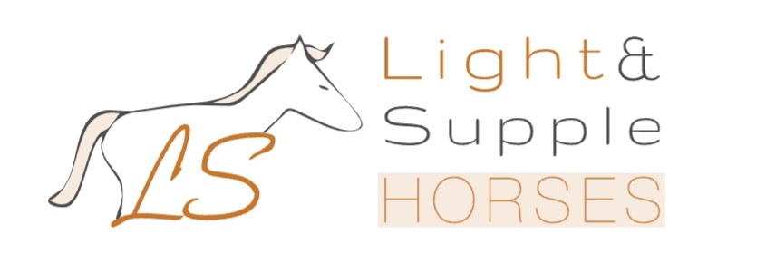 Light & Supple Horses : box et paddocks, pension pour chevaux à Brasschaat - Photo 1 sur 2