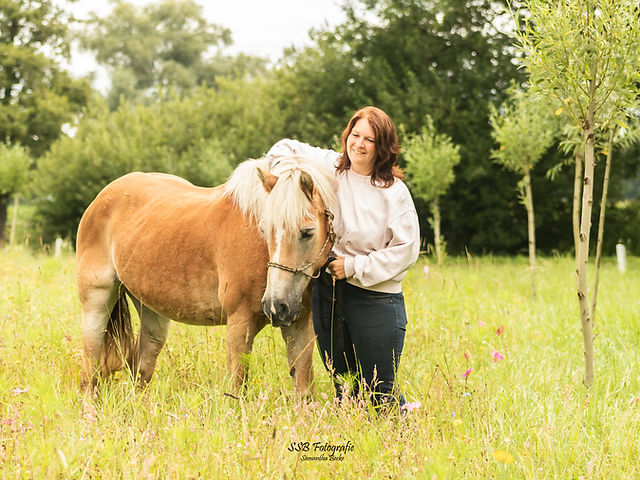 Rica's Trails : box et paddocks, pension pour chevaux à Maaseik (Neeroeteren) - Photo 2 sur 3