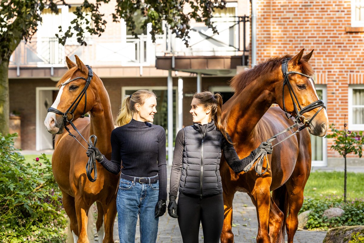 Hof Schulze Niehues : box et paddocks, pension pour chevaux à Warendorf-Freckenhorst - Photo 2 sur 2