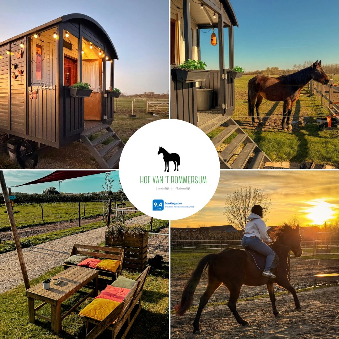 Hof van ’t Rommersum : box et paddocks, pension pour chevaux à Zoutleeuw - Photo 1 sur 4