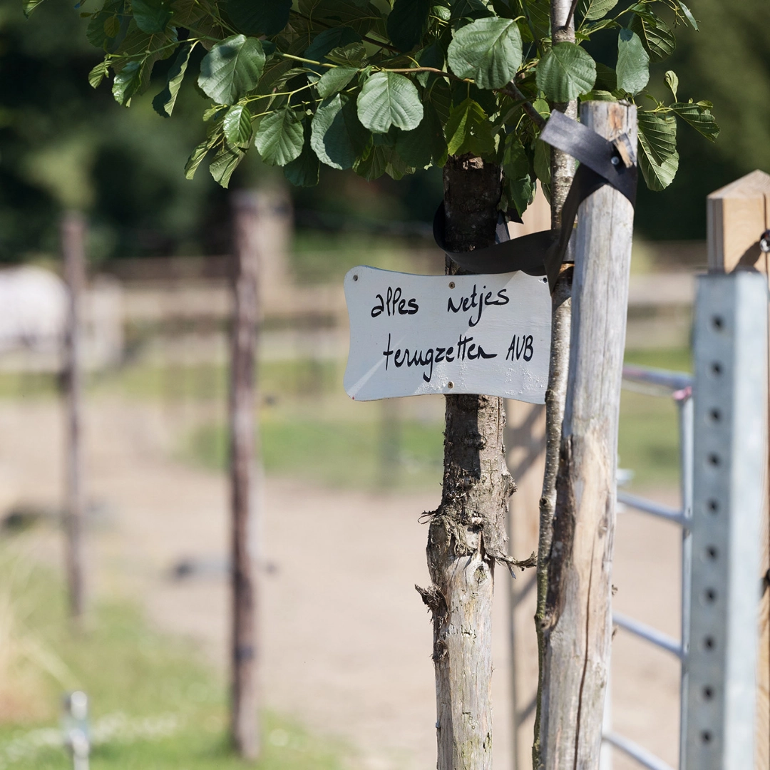 Hof van ’t Rommersum : box et paddocks, pension pour chevaux à Zoutleeuw - Photo 4 sur 4
