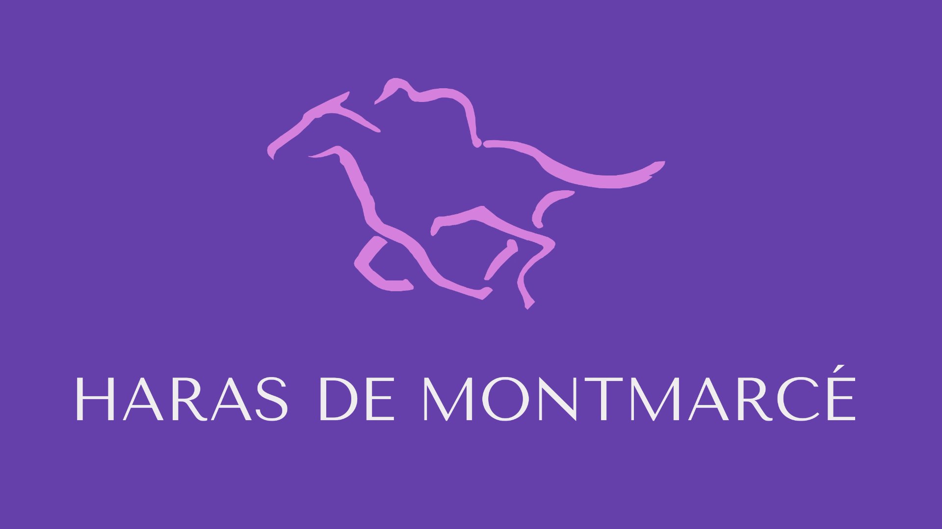 Haras de Montmarcé : box et paddocks, pension pour chevaux à Le Merlerault / Merlerault-le-Pin
