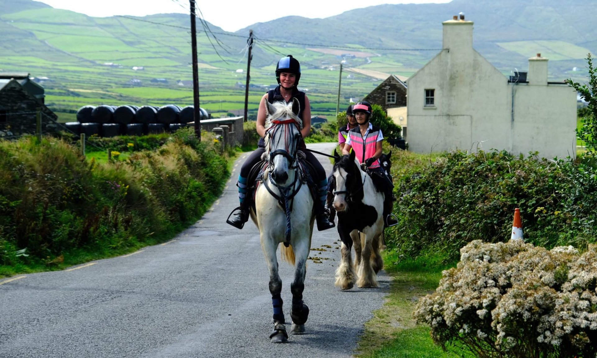 Lios Lara Riding Stables : box et paddocks, pension pour chevaux à Castletownbere