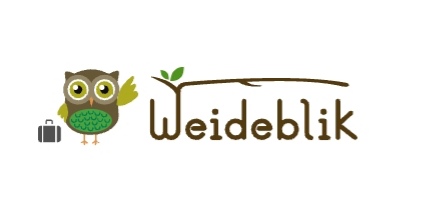 Minicamping Weideblik : box et paddocks, pension pour chevaux à Biezenmortel