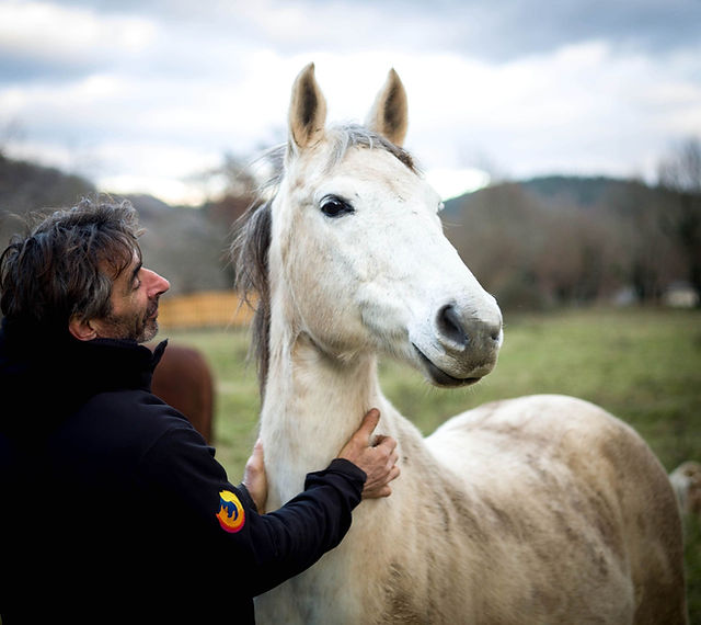 Ferme Équestre du Pech Merle : box et paddocks, pension pour chevaux à Cabrerets